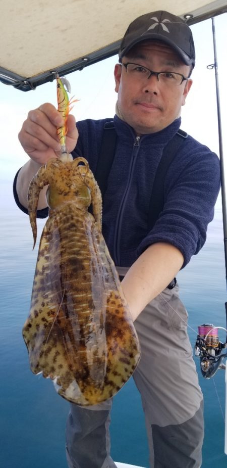 ソルトウォーターガイドフレンズ 釣果