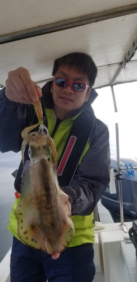 ソルトウォーターガイドフレンズ 釣果