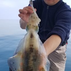 ソルトウォーターガイドフレンズ 釣果