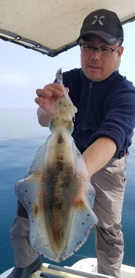 ソルトウォーターガイドフレンズ 釣果