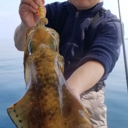 ソルトウォーターガイドフレンズ 釣果