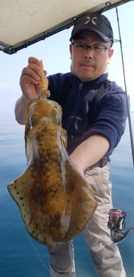 ソルトウォーターガイドフレンズ 釣果