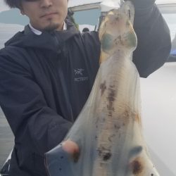 ソルトウォーターガイドフレンズ 釣果