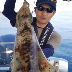 ソルトウォーターガイドフレンズ 釣果