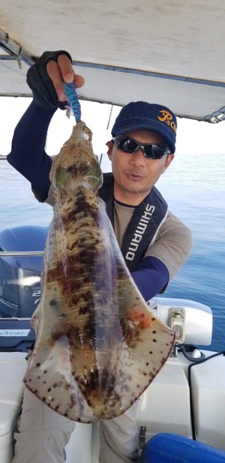 ソルトウォーターガイドフレンズ 釣果