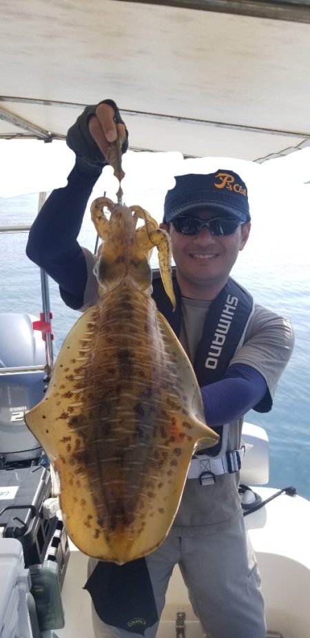 ソルトウォーターガイドフレンズ 釣果