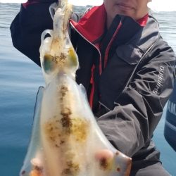 ソルトウォーターガイドフレンズ 釣果