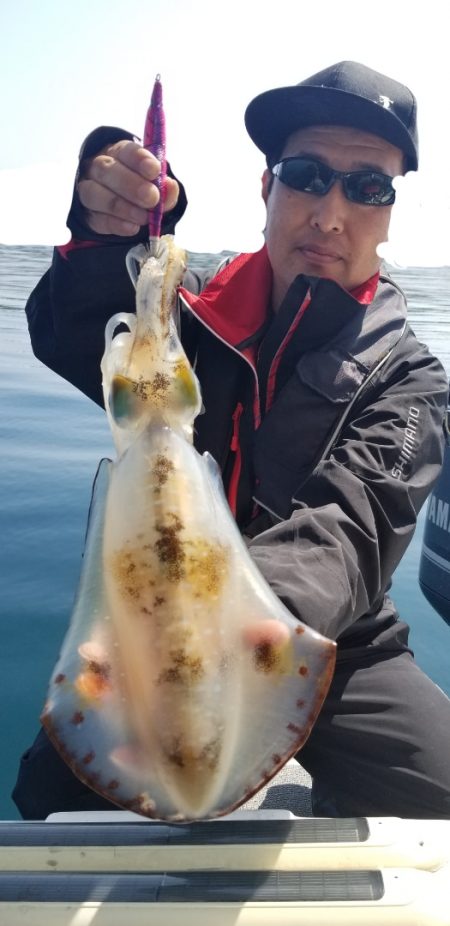 ソルトウォーターガイドフレンズ 釣果