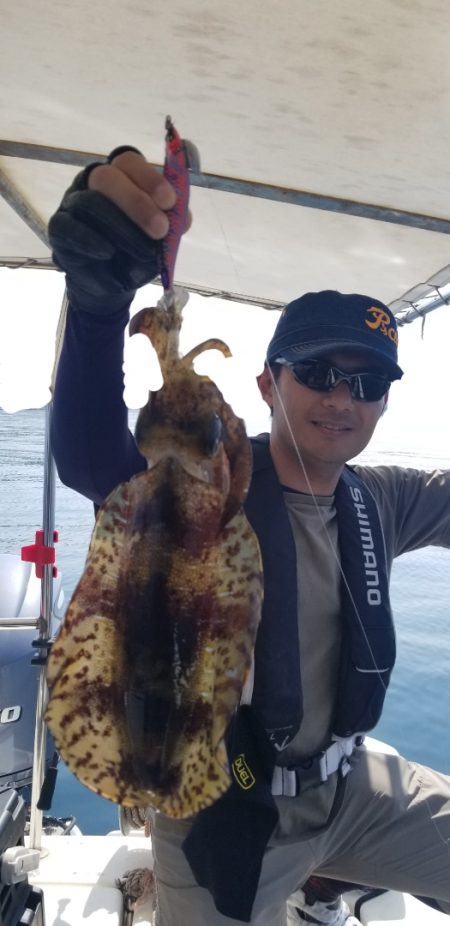 ソルトウォーターガイドフレンズ 釣果