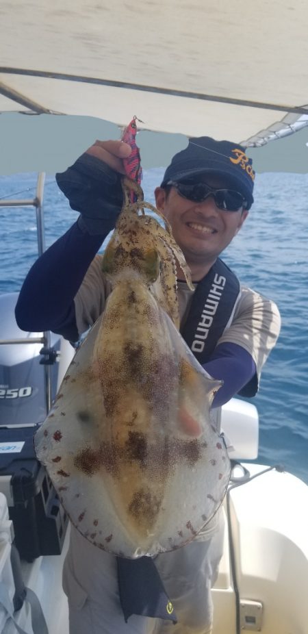 ソルトウォーターガイドフレンズ 釣果