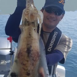 ソルトウォーターガイドフレンズ 釣果