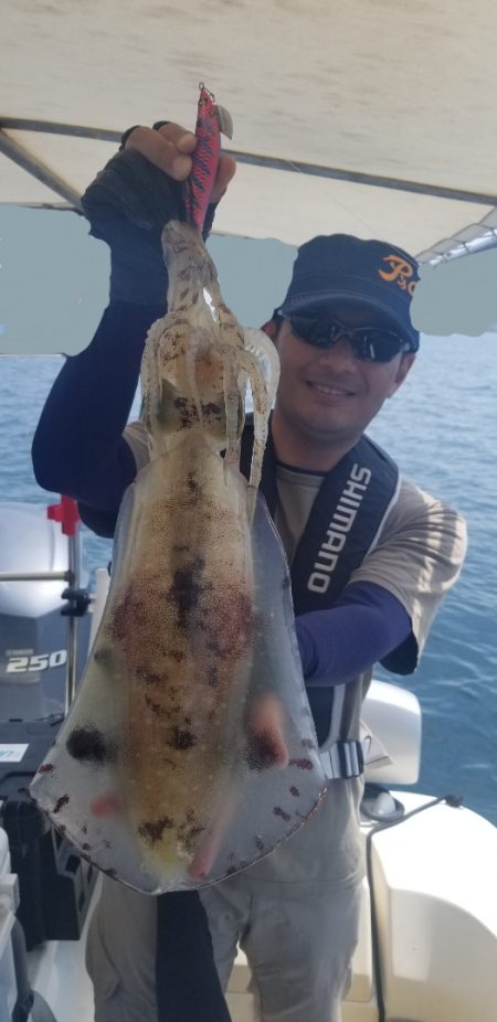 ソルトウォーターガイドフレンズ 釣果