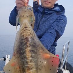 ソルトウォーターガイドフレンズ 釣果