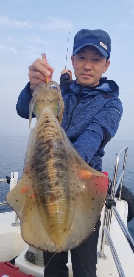 ソルトウォーターガイドフレンズ 釣果