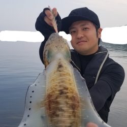 ソルトウォーターガイドフレンズ 釣果