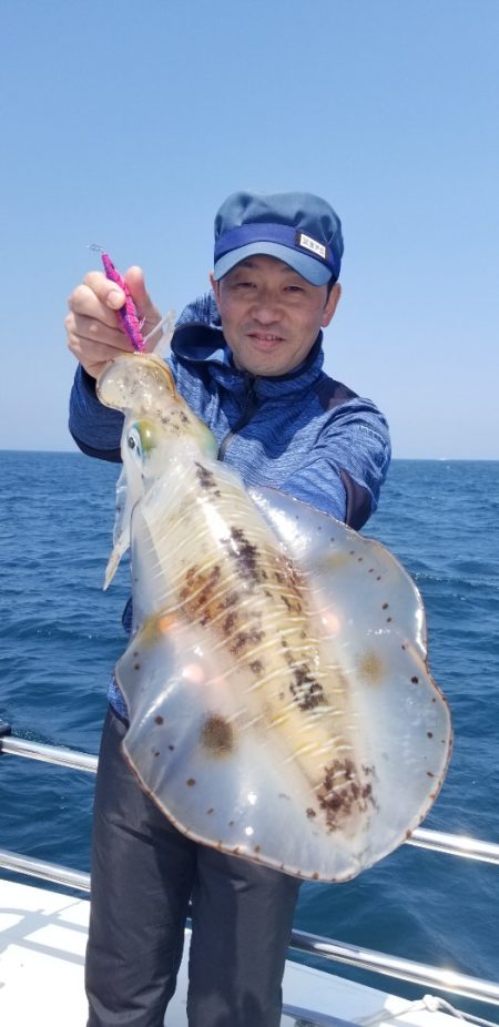 ソルトウォーターガイドフレンズ 釣果