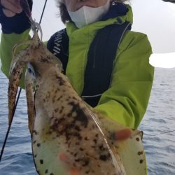 ソルトウォーターガイドフレンズ 釣果