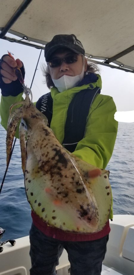 ソルトウォーターガイドフレンズ 釣果