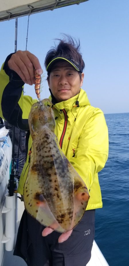 ソルトウォーターガイドフレンズ 釣果