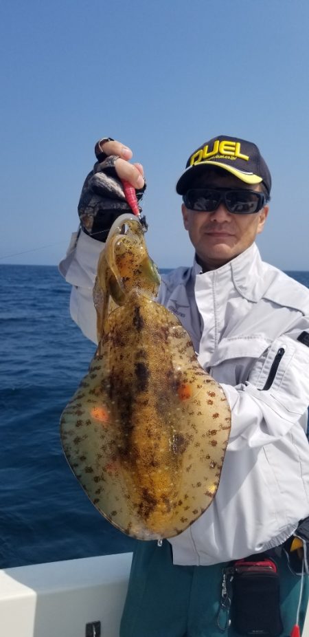 ソルトウォーターガイドフレンズ 釣果