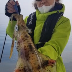 ソルトウォーターガイドフレンズ 釣果