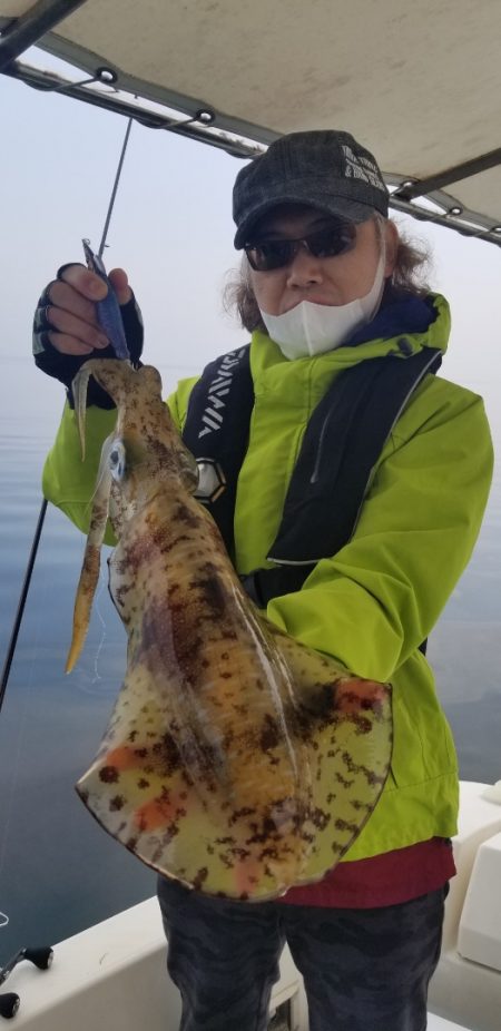 ソルトウォーターガイドフレンズ 釣果