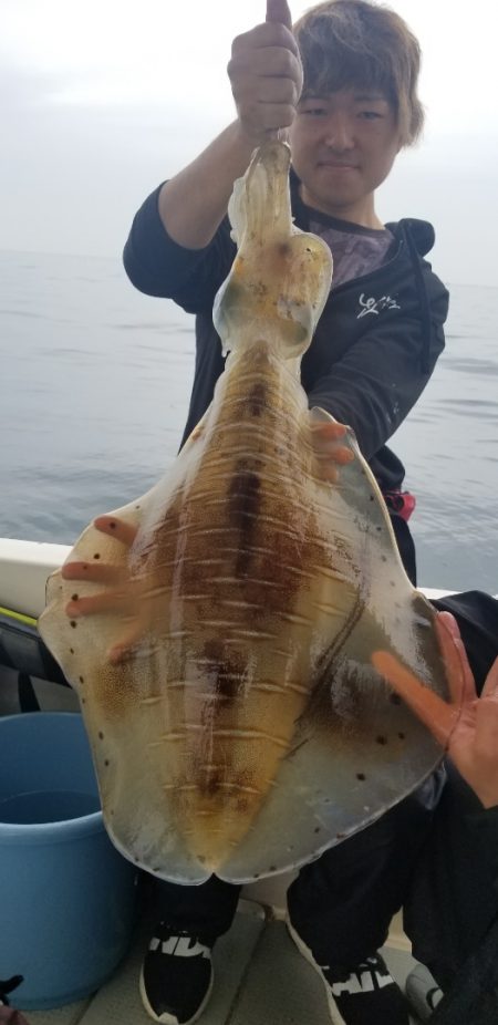 ソルトウォーターガイドフレンズ 釣果