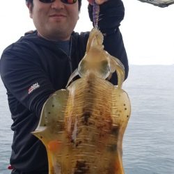 ソルトウォーターガイドフレンズ 釣果