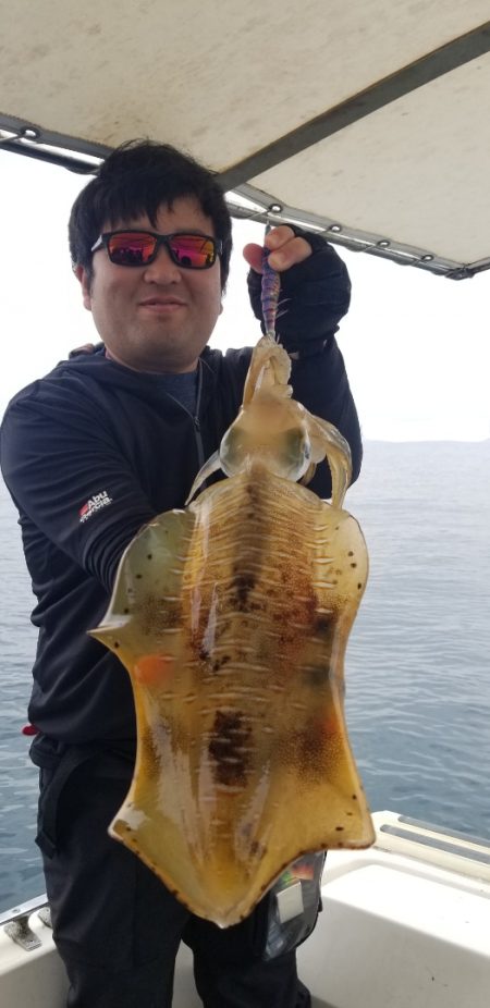 ソルトウォーターガイドフレンズ 釣果