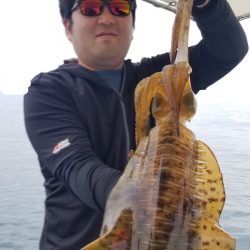 ソルトウォーターガイドフレンズ 釣果