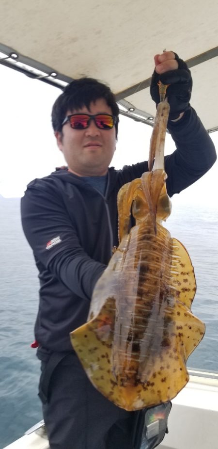 ソルトウォーターガイドフレンズ 釣果