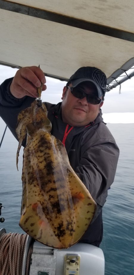 ソルトウォーターガイドフレンズ 釣果