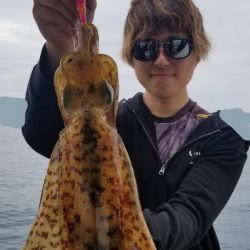 ソルトウォーターガイドフレンズ 釣果