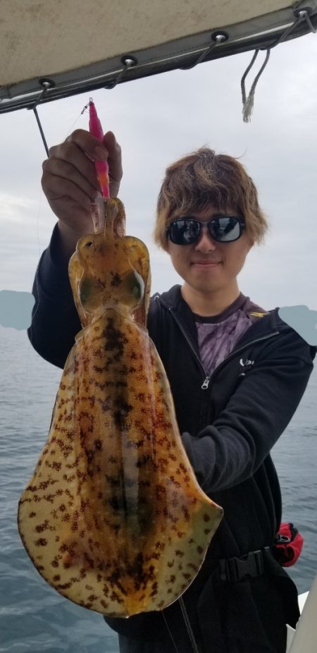 ソルトウォーターガイドフレンズ 釣果