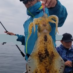 ソルトウォーターガイドフレンズ 釣果