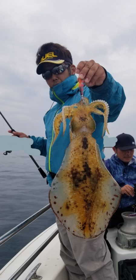 ソルトウォーターガイドフレンズ 釣果