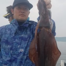 ソルトウォーターガイドフレンズ 釣果