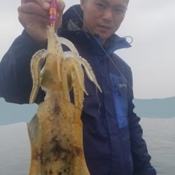 ソルトウォーターガイドフレンズ 釣果