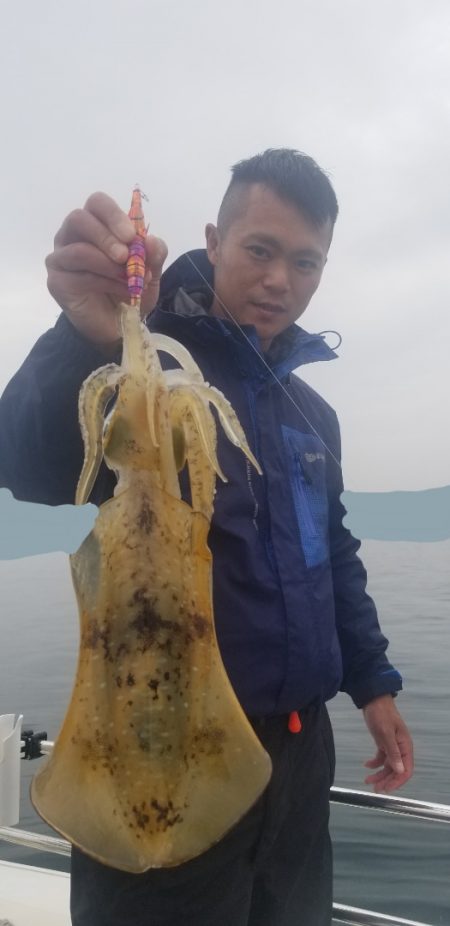 ソルトウォーターガイドフレンズ 釣果