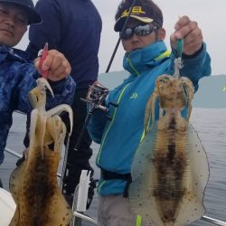 ソルトウォーターガイドフレンズ 釣果