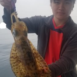 ソルトウォーターガイドフレンズ 釣果