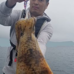 ソルトウォーターガイドフレンズ 釣果