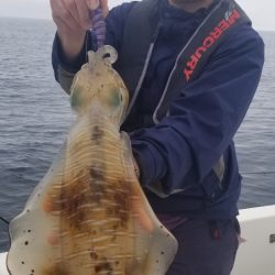 ソルトウォーターガイドフレンズ 釣果