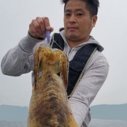 ソルトウォーターガイドフレンズ 釣果