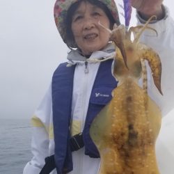 ソルトウォーターガイドフレンズ 釣果