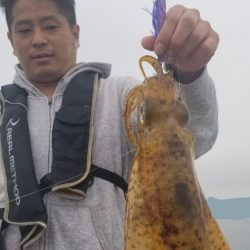 ソルトウォーターガイドフレンズ 釣果