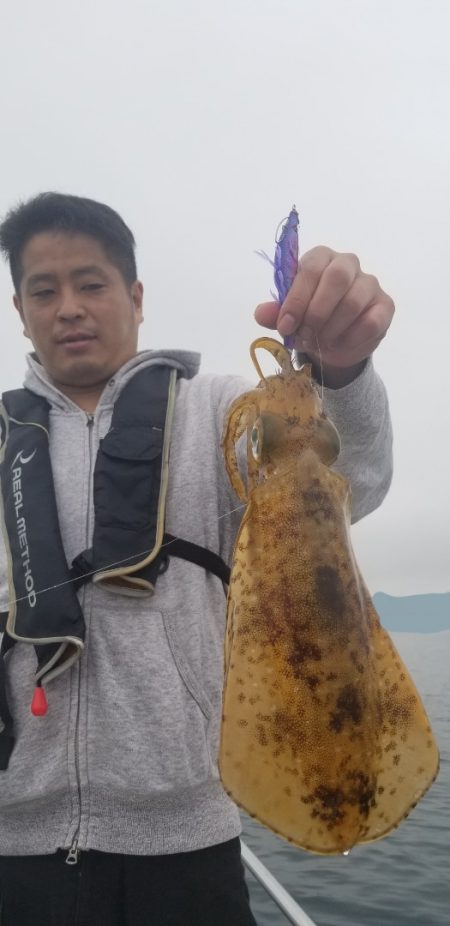 ソルトウォーターガイドフレンズ 釣果