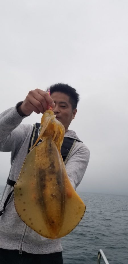 ソルトウォーターガイドフレンズ 釣果