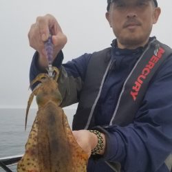 ソルトウォーターガイドフレンズ 釣果