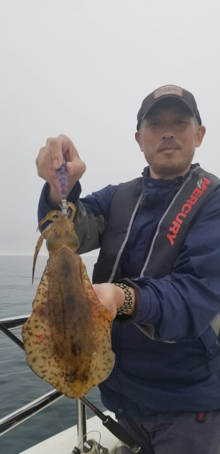 ソルトウォーターガイドフレンズ 釣果